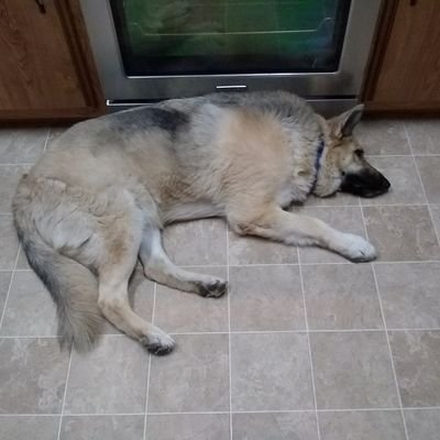 Profile Picture of Jclloyd (@jclloyd58) on Twitter