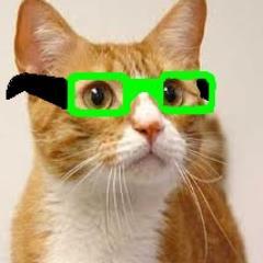 Profile Picture of Parker Fengstad (@parker_fengstad) on Twitter