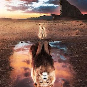 Tracy Moreno - Youtube Profile Picture of Tracy Moreno (@tracymoreno8249) on Youtube