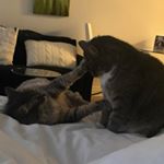 Profile Picture of Timothy Neil Buxton (@buxtotn) on Instagram