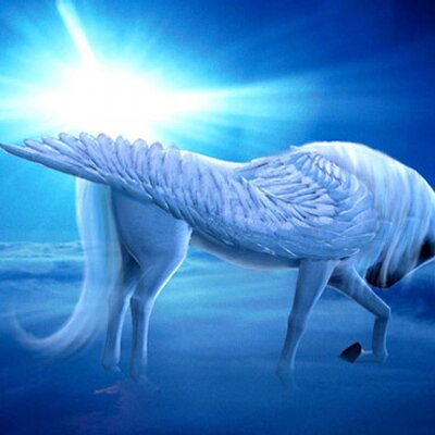 Profile Picture of Joy Custer (@sheezadream) on Twitter