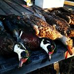 Profile Picture of Joe Arndt (@joearndt77) on Instagram