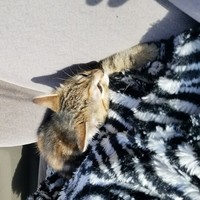 Profile Picture of Traci Riggs (@traci-riggs-1) on Quora