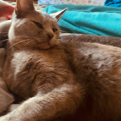 Profile Picture of Jason Knowlton Sr (@jasonknowltonsr3624) on Youtube