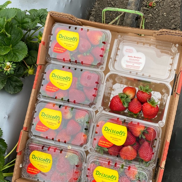 Profile Picture of Jose luis Lezama (@ferrari9547) on Poshmark