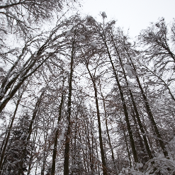 Profile Picture of Brad Sommer (@sommerbrad) on Twitter