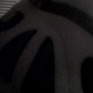 Profile Picture of Anthony Duron (@saberpanda28) on Twitter