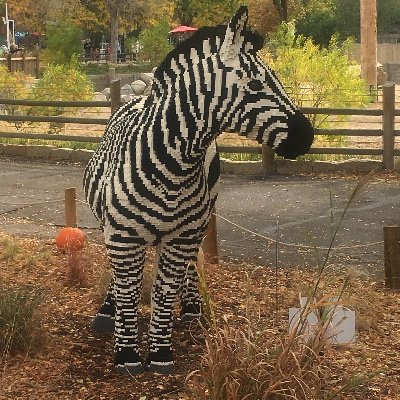 Profile Picture of Kim (@KimSkeen) on Twitter