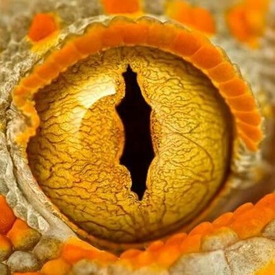 Profile Picture of Ricky James Papin (@ricky_papin) on Twitter