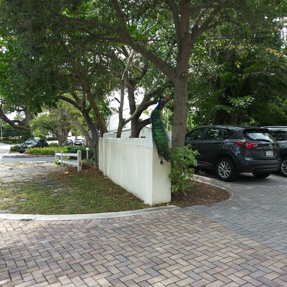 Profile Picture of Mary Hargrett (@m23lizzy) on Poshmark