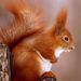 Profile Picture of Eugene Belka (@belkalesnaya00) on Pinterest
