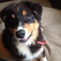 Profile Picture of Kristy Appleton (@kristy-appleton) on Quora
