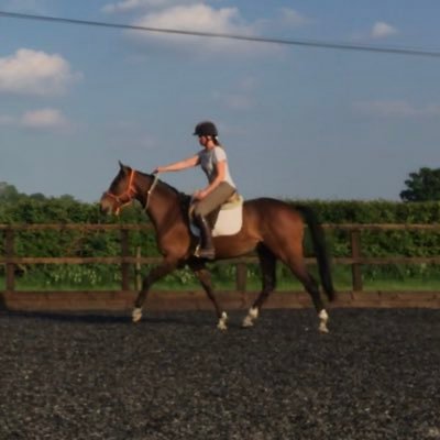 Profile Picture of Amelia Poole Equestrian (@EquestrianPoole) on Twitter