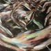 Profile Picture of Craig Onstad (@craig.onstad.5) on Facebook