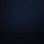 Profile Picture of Eric Lassiter (@dolphino14) on Instagram