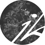 Profile Picture of Jonathan Kuhn (@jonathan_kuhn) on Instagram
