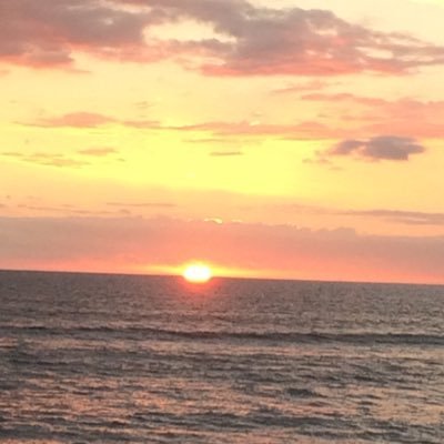 Profile Picture of Resa (@resa_mike) on Twitter