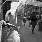 Profile Picture of Dani Timo (@follow /daniel tim) on Flickr