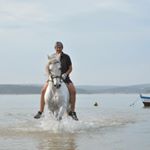 Profile Picture of Jorge Magalhães (@casaldorodo) on Instagram