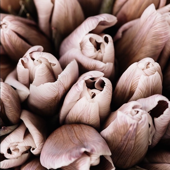 Profile Picture of Sam Lacy (@sam8605) on Poshmark