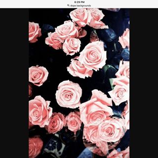 Profile Picture of Matthew Reimers (@Matthew-Reimers) on Facebook