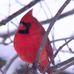 Profile Picture of Paula Juneau (@paula.juneau.79) on Facebook