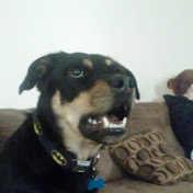 Profile Picture of Chase Goodwin (@chasegoodwin5168) on Youtube