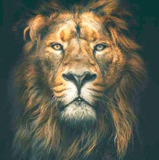 Profile Picture of Andrew Borges (@B0rges) on Facebook