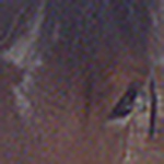 Profile Picture of Heather Roberts (@two bit's equestrian) on Flickr