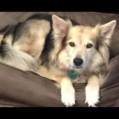 Profile Picture of James Harness (@JamesHa92140809) on Twitter