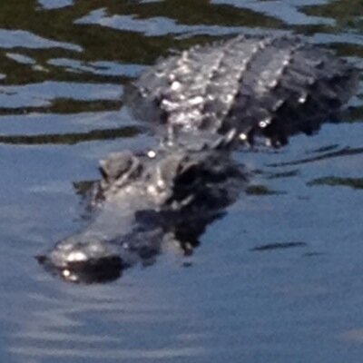 Profile Picture of Mike Schum (@SchumMike) on Twitter