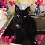 Profile Picture of Debbie Miller Detweiler (@detweilerdebbie) on Instagram