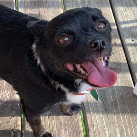 Profile Picture of Holly Manders (@hollymanders3) on Poshmark