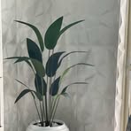 Christopher Hills - Facebook Profile Picture of Christopher Hills (@Christopher-Hills) on Facebook