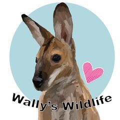 Profile Picture of claudiathorne (@claudiathorne) on Tiktok