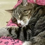 Profile Picture of Debbie Ryder (@ryder_debbie) on Instagram