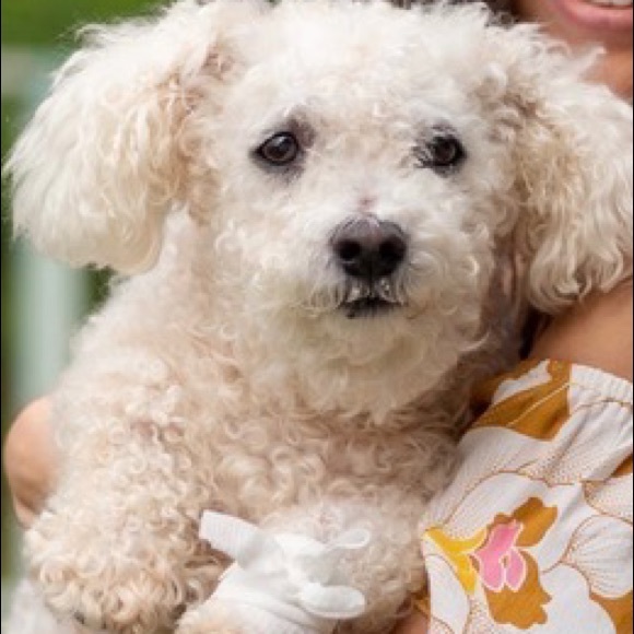 Profile Picture of Kelly Moore (@moor4516) on Poshmark