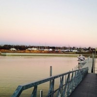 Profile Picture of Marsha Raines (@marsha-raines) on Quora