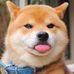 Profile Picture of Kyle Yeh (@kyle.yeh.3382) on Facebook