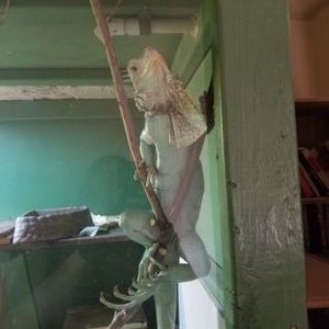 Profile Picture of Mandy Stutts (@MandyStutts) on Twitter