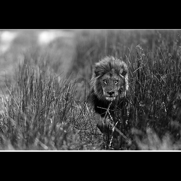 Profile Picture of Heidi Hedding (@hedding) on Poshmark