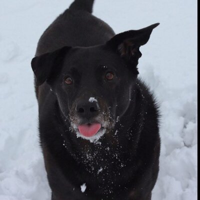 Profile Picture of Jason Wortman (@ponchodingle) on Twitter