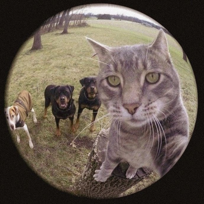 Profile Picture of Andrea Dekeyser (@andreadekeyser) on Tiktok