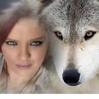 Profile Picture of Donna Marie Birch (@donna-marie-birch) on Quora