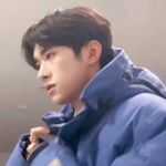 Profile Picture of 新月逢廿 (@zhang.6929) on Instagram