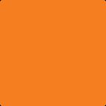 Profile Picture of sean.mcgonigle3 (@sean.mcgonigle3) on Instagram