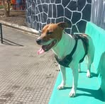 Profile Picture of Alexis Granado (@Alexis-Granado) on Facebook