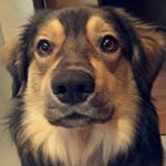 Profile Picture of Joel Geuting (@geutingjoel) on Instagram