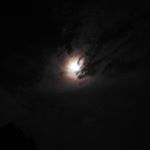 Profile Picture of Dustin Preston (@dustin_preston21) on Instagram