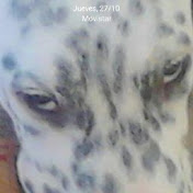 Profile Picture of David Gabaldon (@davidgabaldon8179) on Youtube